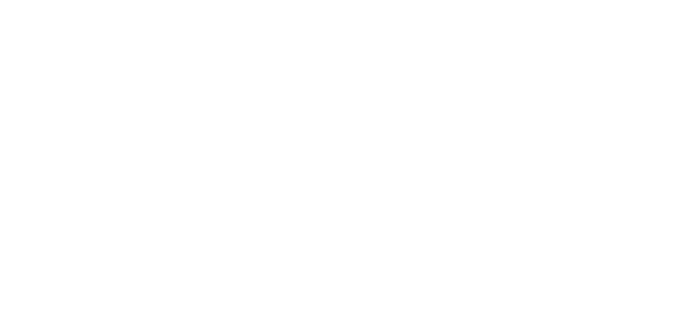 sprint-logo-negatief